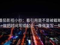 番茄影视小抄：看引用是不是被截断→做把时间写成起止→像做复写一句