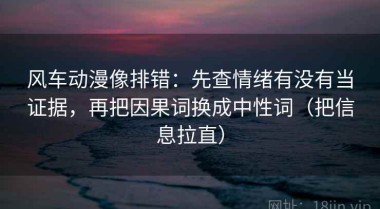 风车动漫像排错：先查情绪有没有当证据，再把因果词换成中性词（把信息拉直）