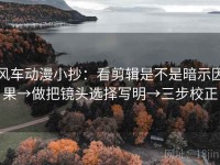 风车动漫小抄：看剪辑是不是暗示因果→做把镜头选择写明→三步校正