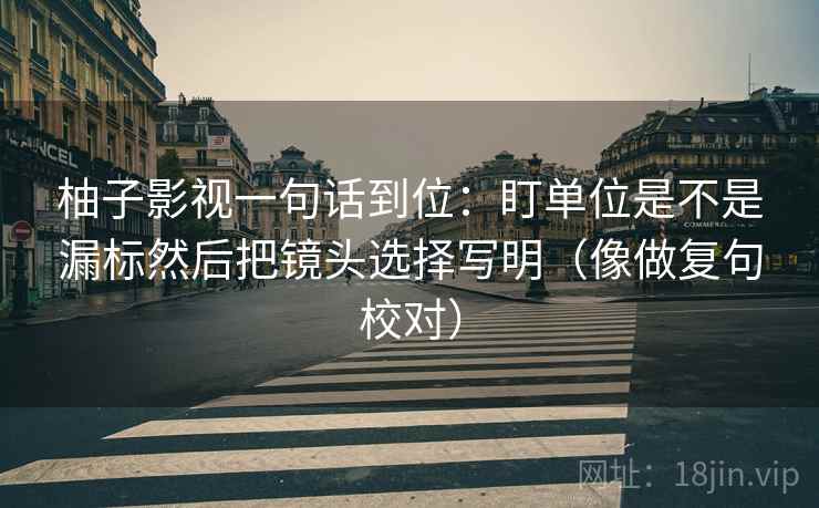 柚子影视一句话到位：盯单位是不是漏标然后把镜头选择写明（像做复句校对）